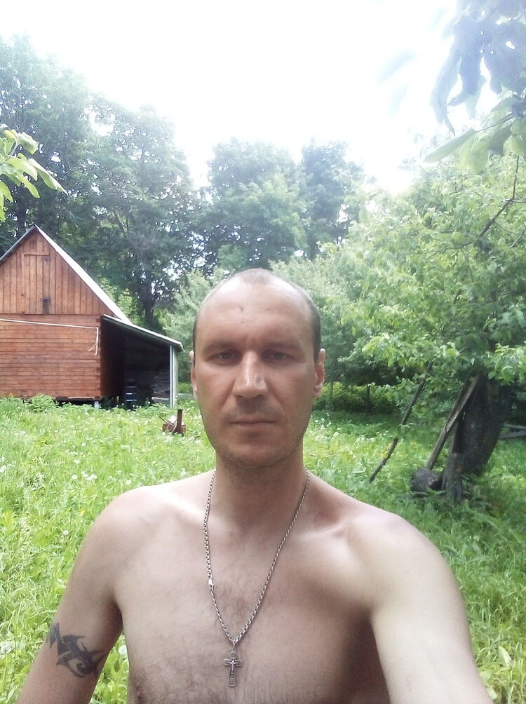  16502773  , 41 ,    