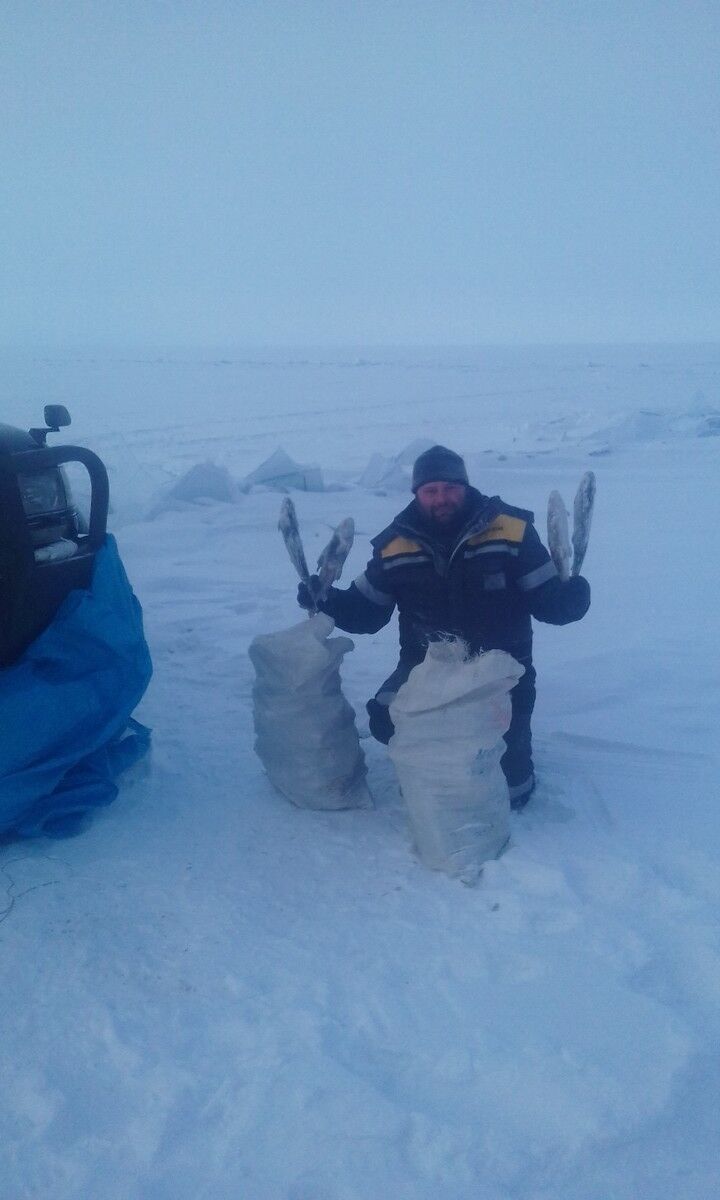  19508093  , 43 ,    -