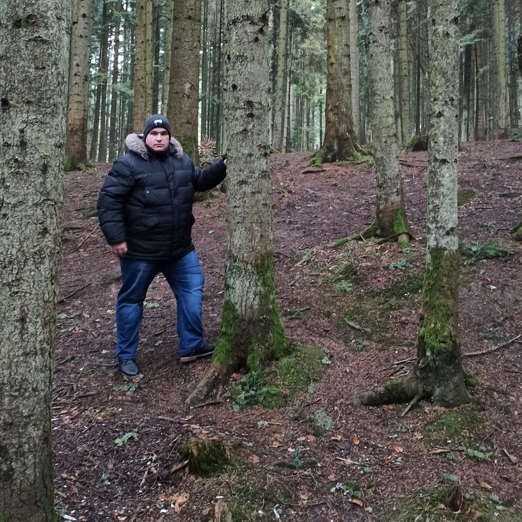 ���� 25094303 ������� ���� ����, 36 ���, ���� ���������� � �������