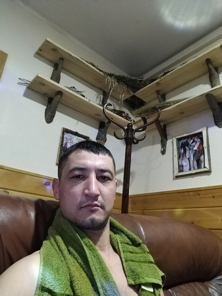  31405933  , 36 ,    