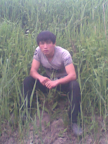  ,   Otik, 31 ,   ,   , c 