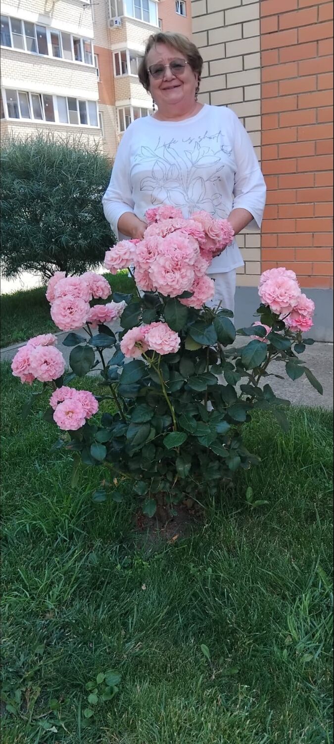 ���������� ���������, ���� ������� ������, 61 ���, ������������ ��� ����� � ���������, c�������� ���������