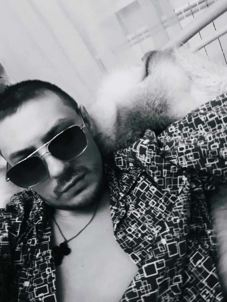 ���� 42041393 ������� ����, 33 ����, ���� ���������� � ��������