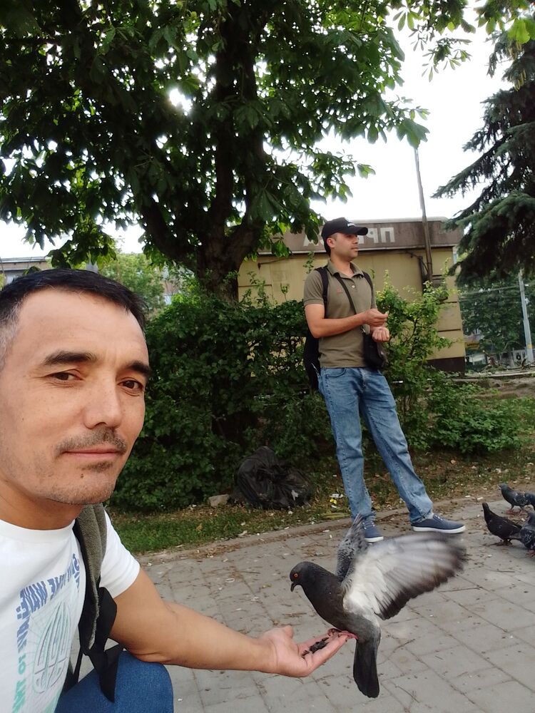 ���������� ������, ���� ������� �����, 49 ���, ������������ ��� ������, ����� � ���������