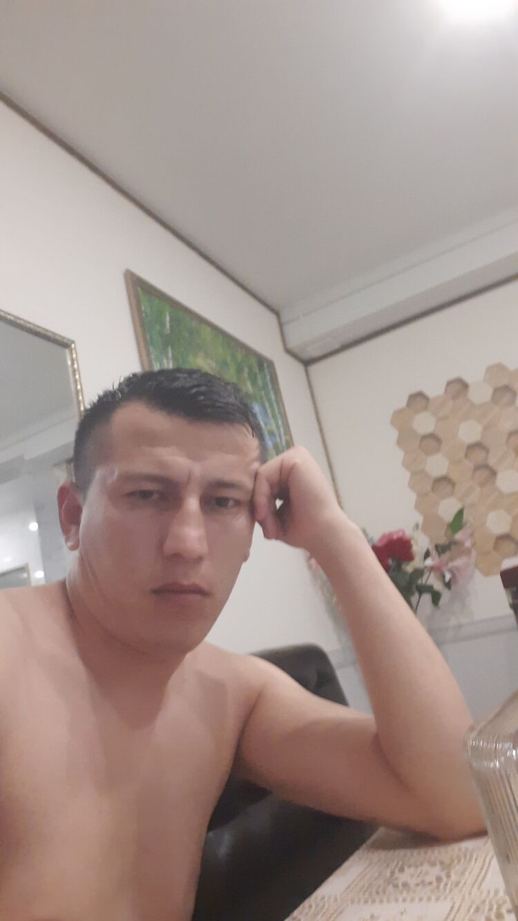 ���� 33122403 ������� ����, 33 ����, ���� ���������� � ������