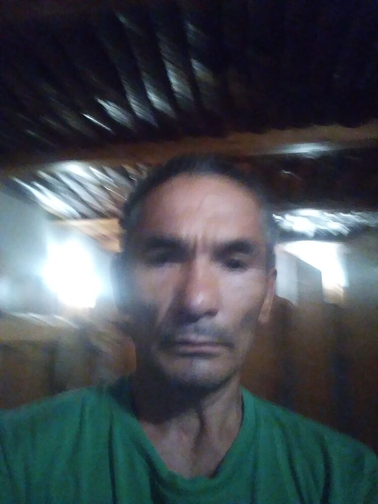  23347613  , 58 ,    