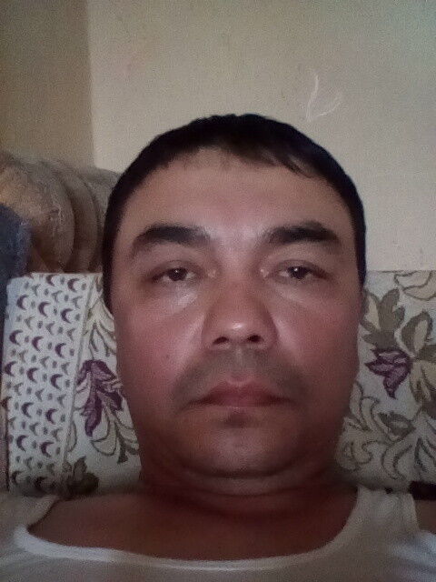  13305383  , 50 ,    