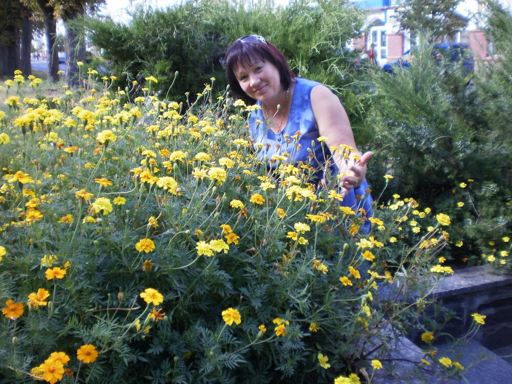 ���� 8465633 ������� ����, 67 ���, ���� ���������� � ���������