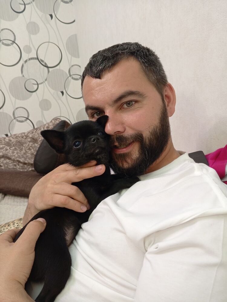 ���� 43573383 ������� ����, 38 ���, ���� ���������� � �����������