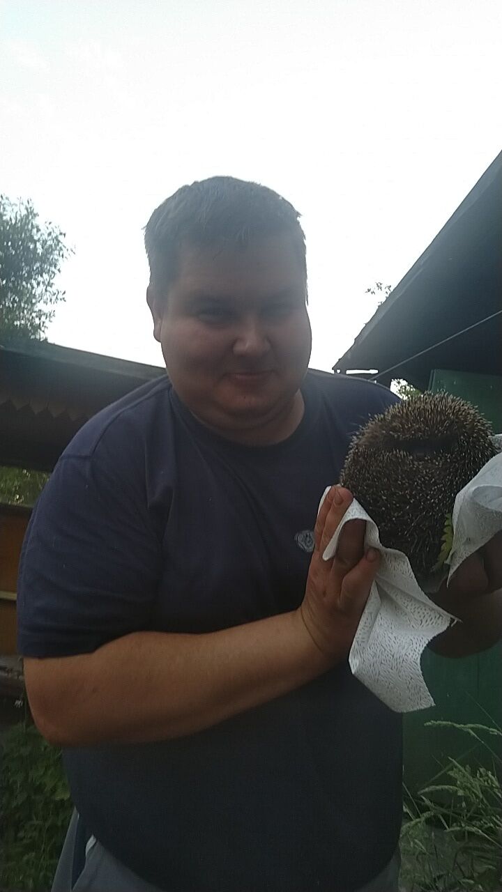 ���� 24059473 ������� �������, 38 ���, ���� ���������� � �����-����������