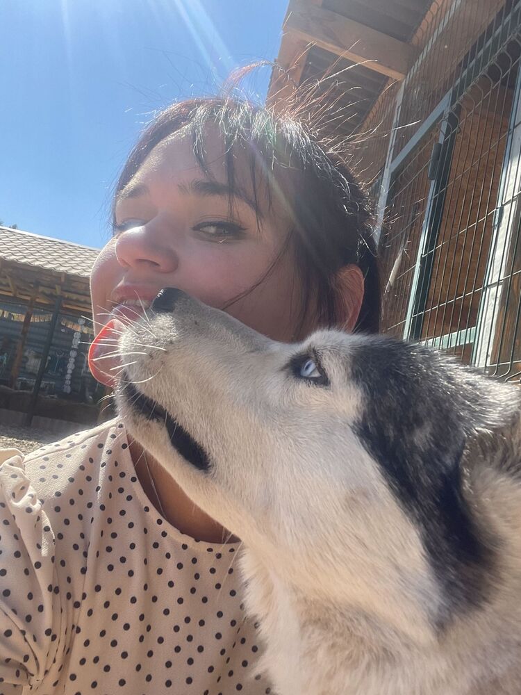  53705693  Mare, 37 ,    Acri