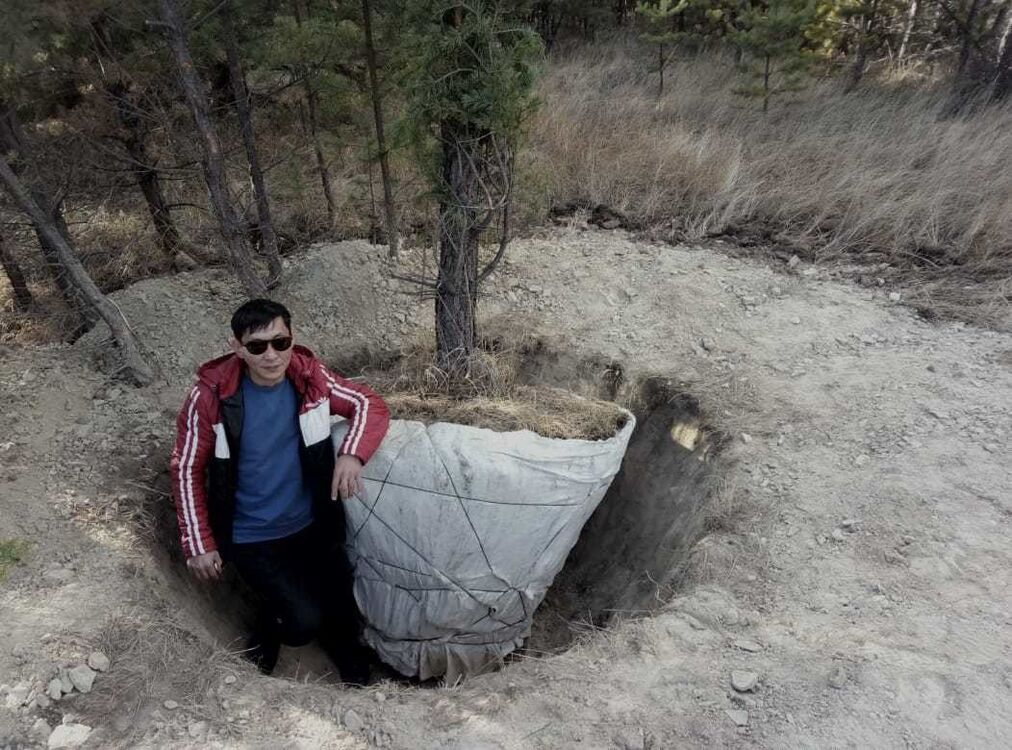 ���� 19549303 ������� ���, 49 ���, ���� ���������� � ������