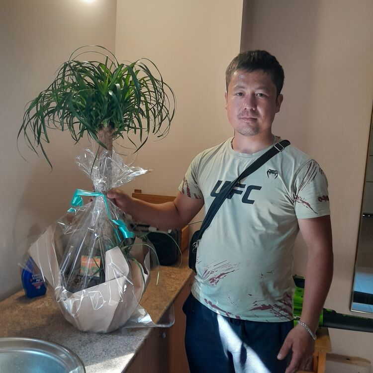 ���������� ������, ���� ������� ������, 38 ���, ������������ ��� ������, ����� � ���������