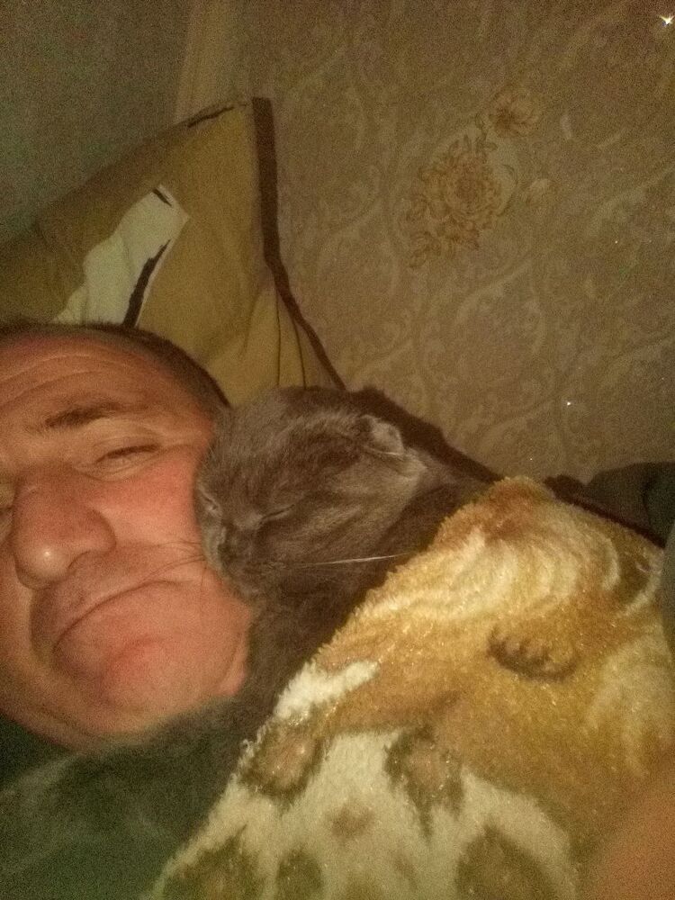 ���� 55330333 ������� �����, 50 ���, ���� ���������� � ���������