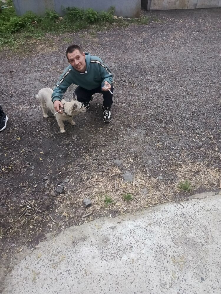  ,   ˸, 36 ,   ,   