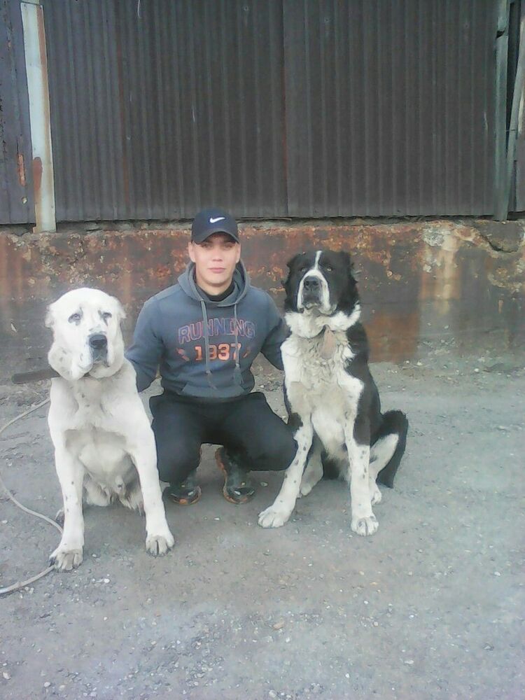 ���������� �����������, ���� ������� �����, 35 ���, ������������ ��� ������