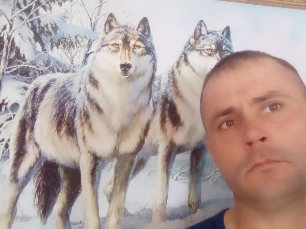 ���� 26414673 ������� �������, 45 ���, ���� ���������� � ��������