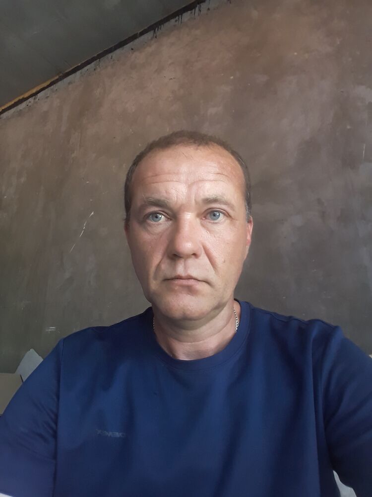  43655823  , 44 ,    
