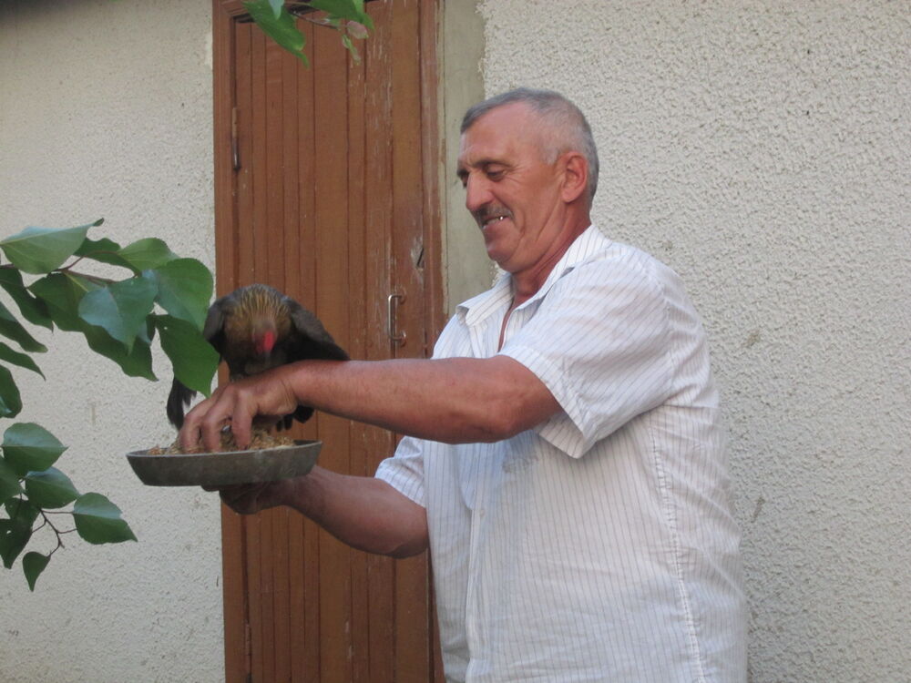 ���������� �������, ���� ������� �����, 70 ���, ������������ 