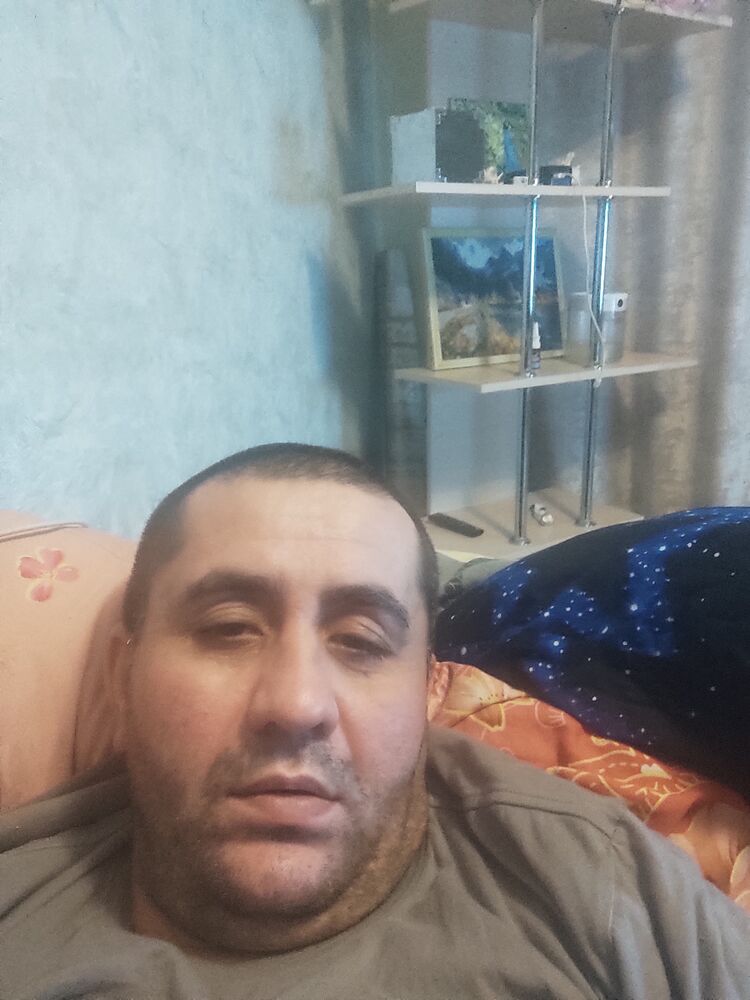  48814573  , 43 ,    