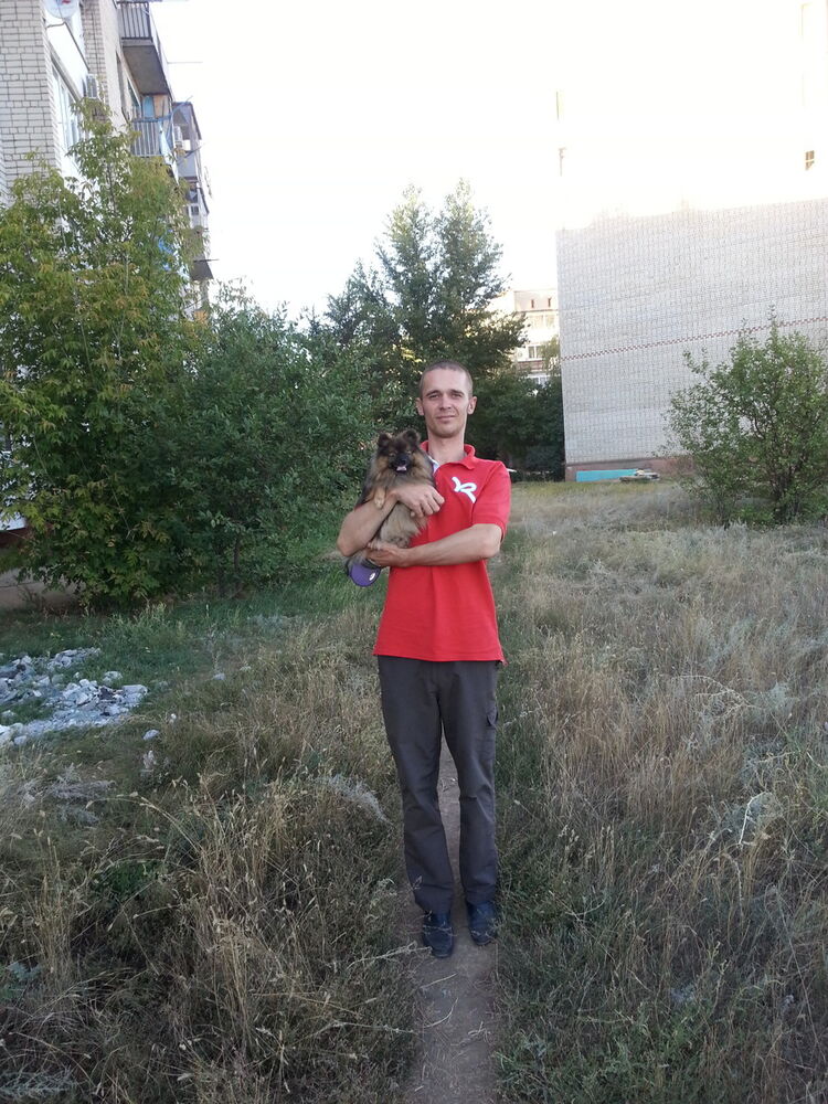 ���� 11330833 ������� ������, 36 ���, ���� ���������� � ��������