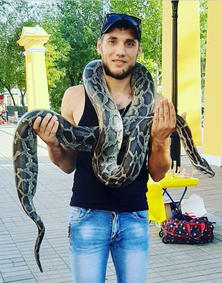 ���������� ��������, ���� ������� ������, 40 ���, ������������ ��� ������, ���������