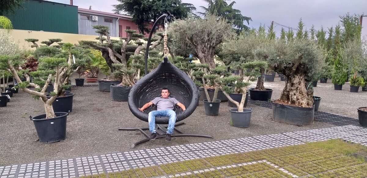 ���������� ������������, ���� ������� �������, 40 ���, ������������ ��� ������, ����� � ���������, c�������� ���������