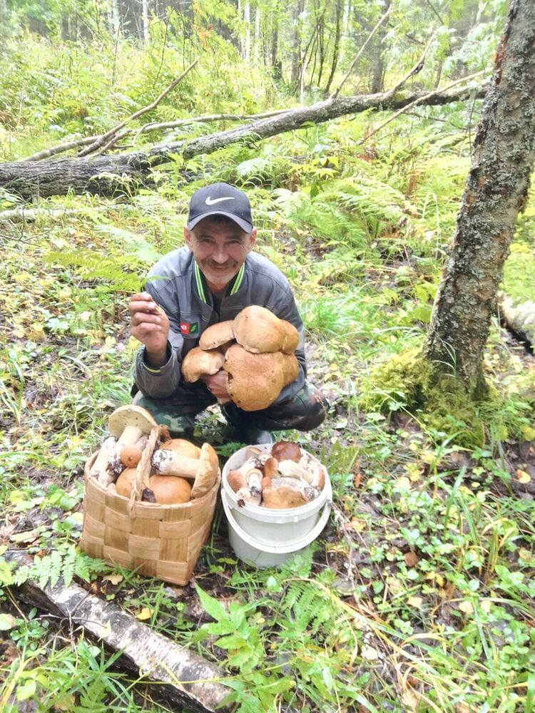 ���� 53438333 ������� �����, 58 ���, ���� ���������� � �������