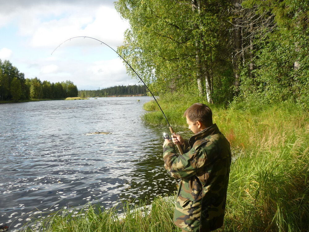 ���� 42401513 ������� �������, 32 ����, ���� ���������� � ������������