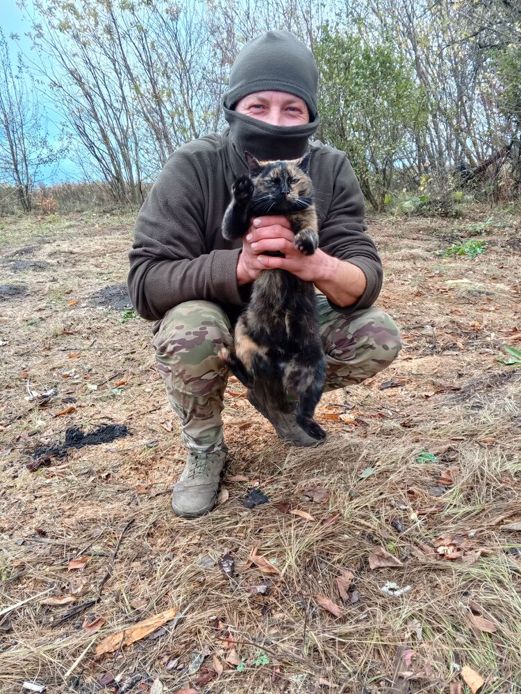  ,   , 35 ,   ,   , 