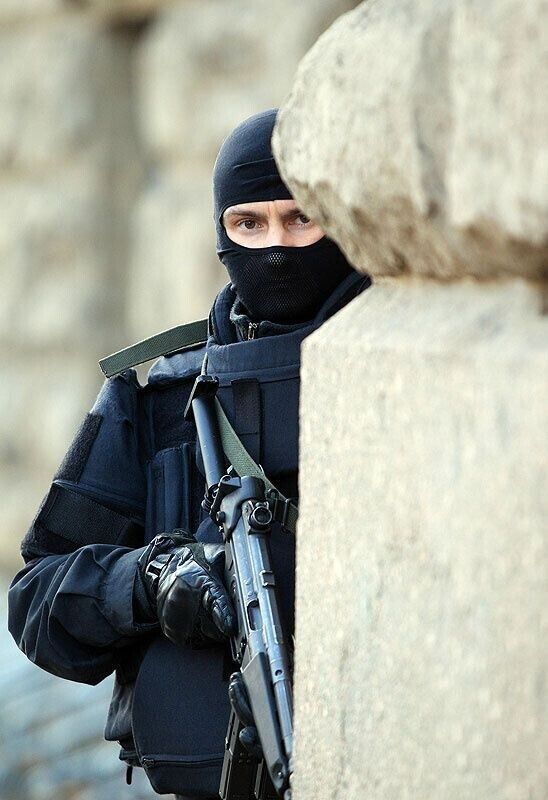 ���� 31393033 ������� ���������, 44 ����, ���� ���������� � �������������