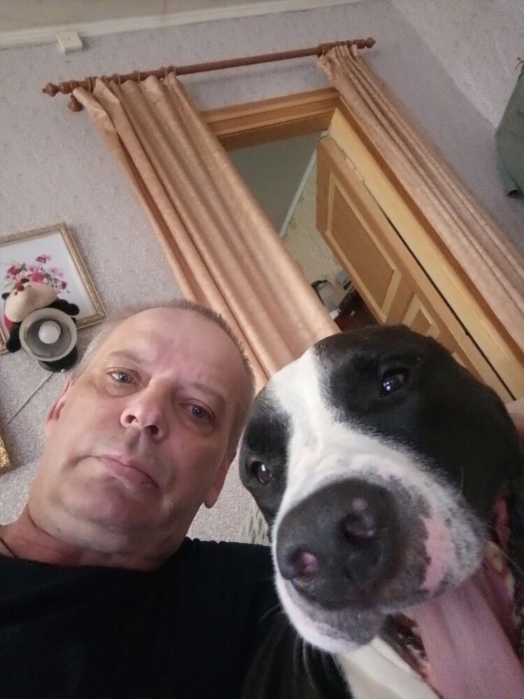 ���������� ������ ��������, ���� ������� �������, 54 ����, ������������ ��� ������, ����� � ���������