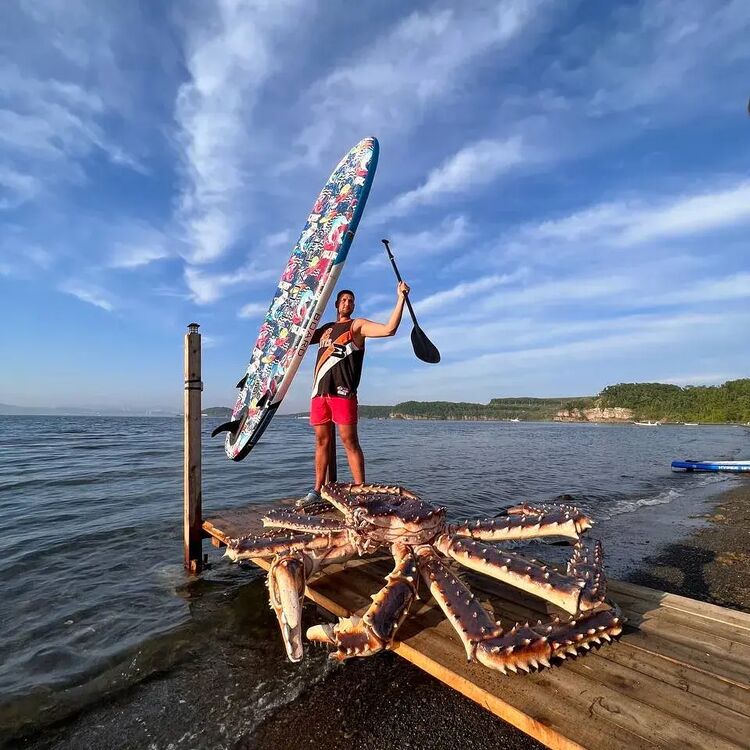 ���������� �����������, ���� ������� ����, 33 ����, ������������ ��� ������, ����� � ���������