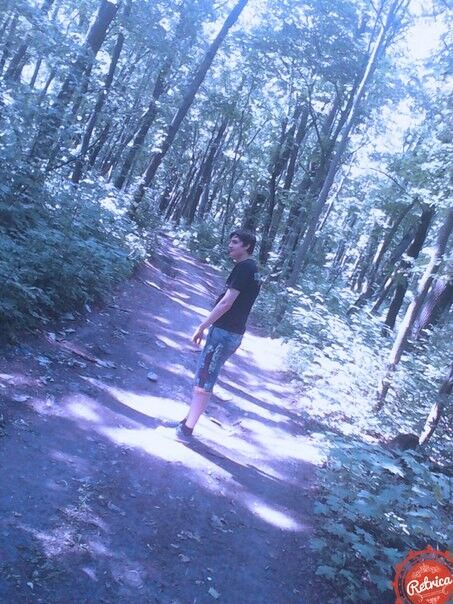 ���������� �������, ���� ������� ���������, 33 ����, ������������ ��� ������