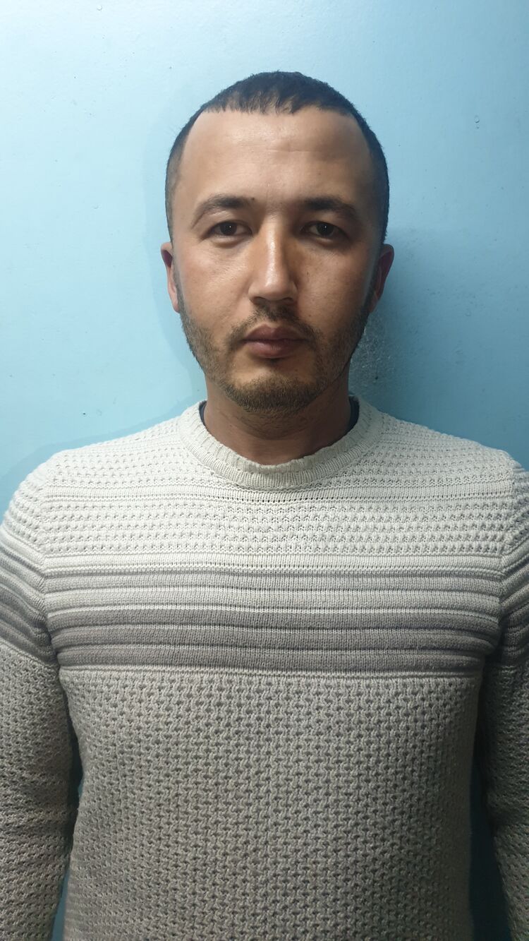 ���� 33391473 ������� ������, 31 ���, ���� ���������� � ��������������