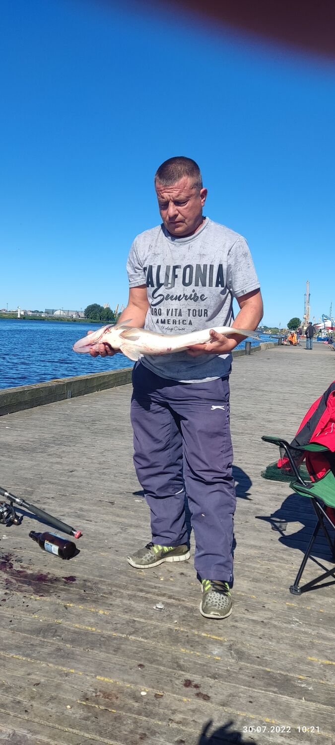 ���������� ����, ���� ������� Dmitrij, 46 ���, ������������ ��� ������, ����� � ���������, c�������� ���������, ���������