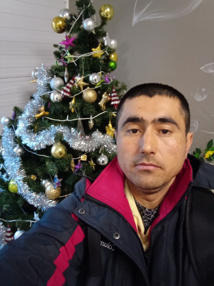  31505643  , 39 ,    -