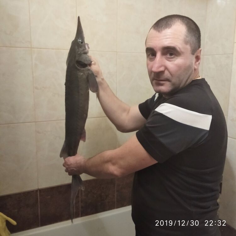  ,   , 48 ,   c 