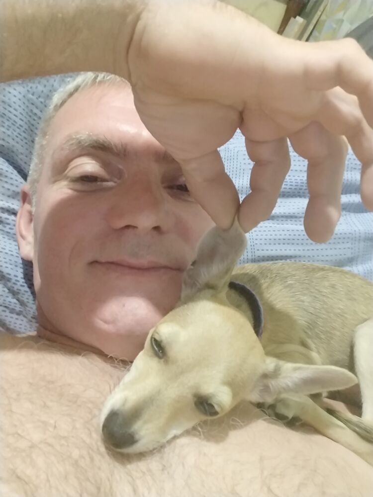 ���������� �����-���������, ���� ������� ����, 48 ���, ������������ ��� ������, ����� � ���������, c�������� ���������