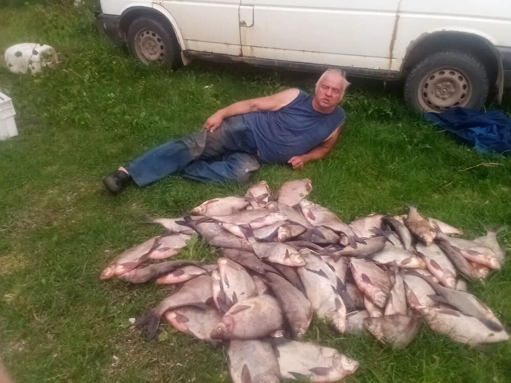 ���� 55762383 ������� ��������, 64 ����, ���� ���������� � ������