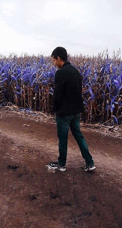 ���� 21973513 ����� ���������, 25 ���, ���� ���������� � ���������