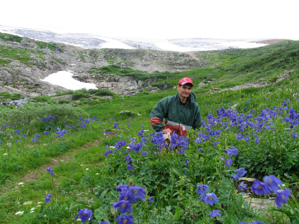 ���������� ������������, ���� ������� ������, 55 ���, ������������ ��� ������, ����� � ���������