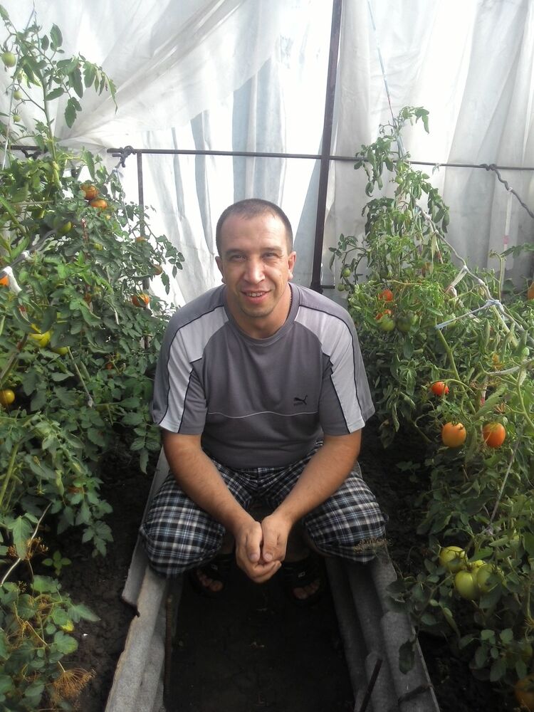 ���� 19455733 ������� ���������, 49 ���, ���� ���������� � ��������