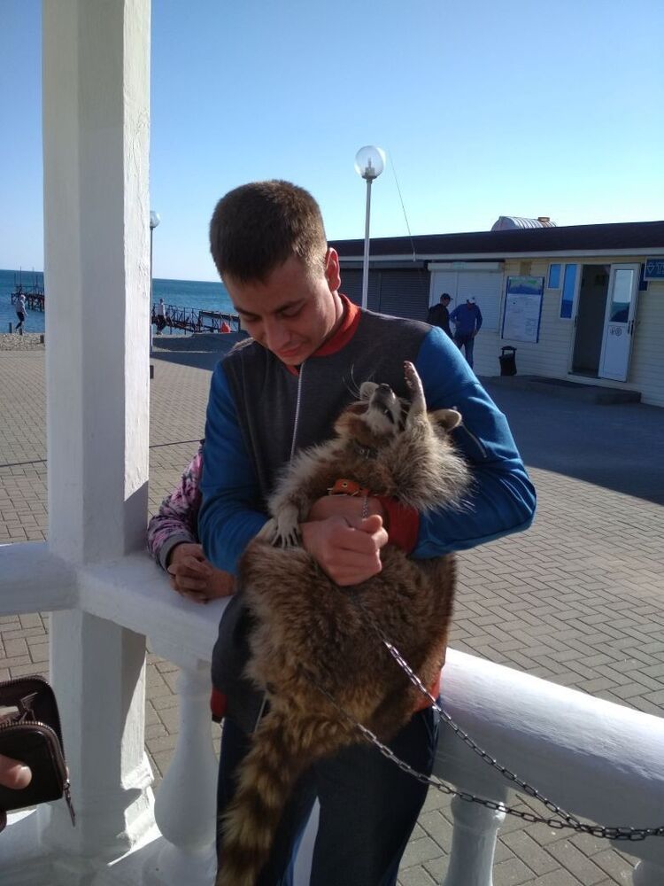 ���� 12160543 ������� ����������, 36 ���, ���� ���������� � ����������