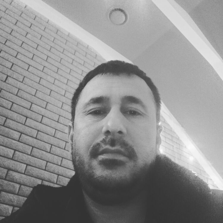  49656313  , 41 ,    