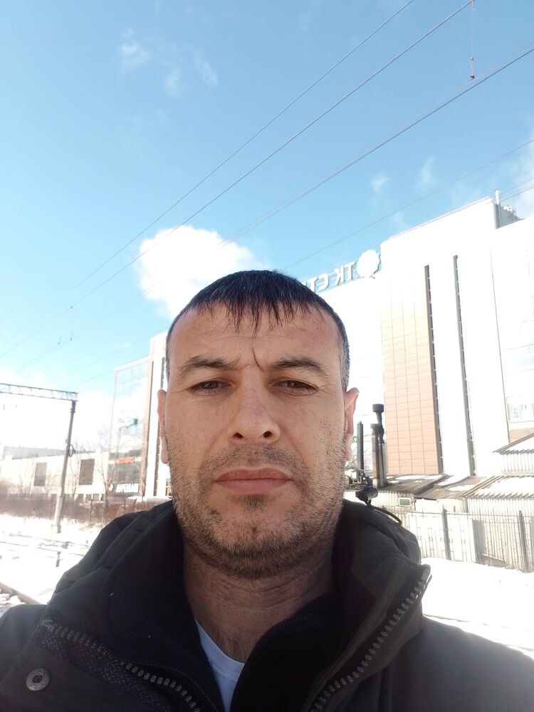  36566133  , 43 ,    -