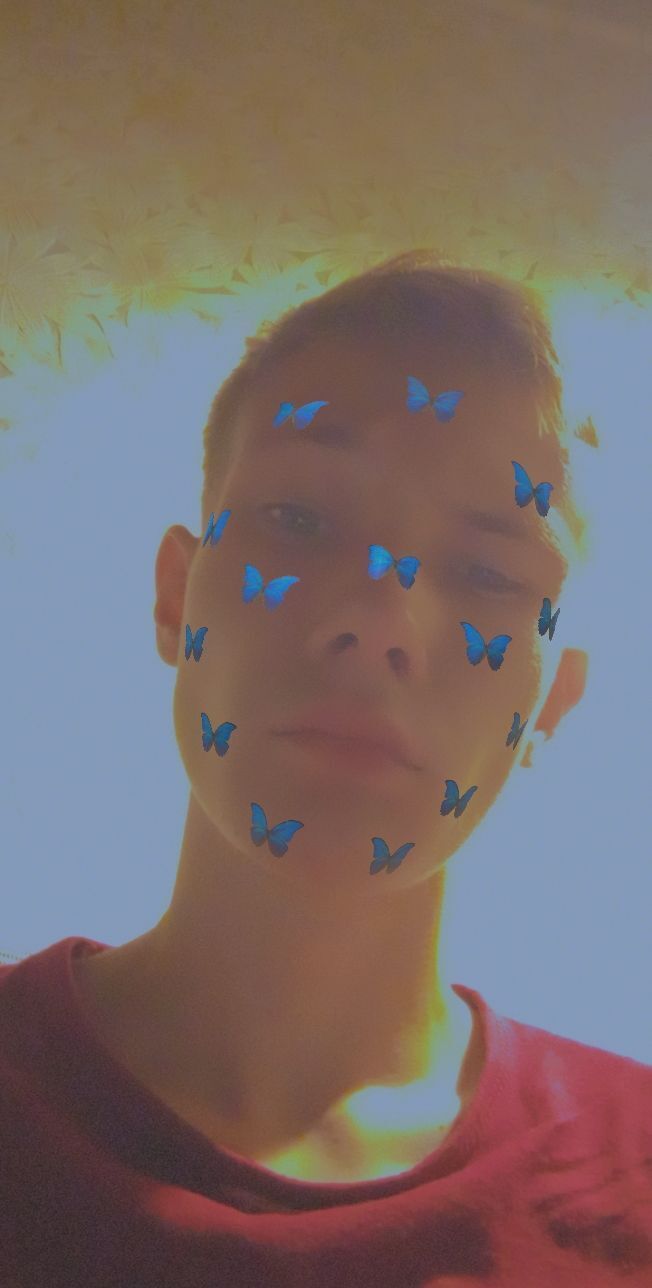  33365693  , 22 ,    
