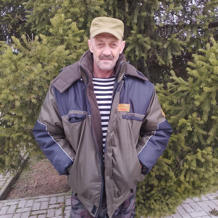  43869443  , 55 ,    