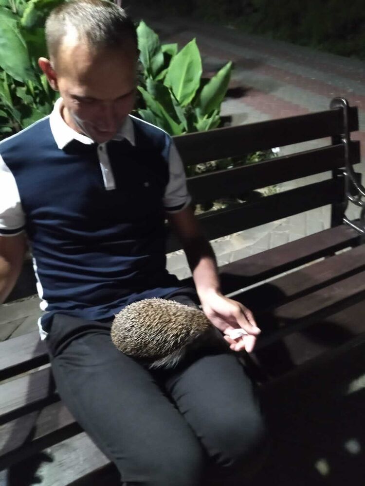 ���������� ����, ���� ������� ���������, 34 ����, ������������ ��� ������, ����� � ���������