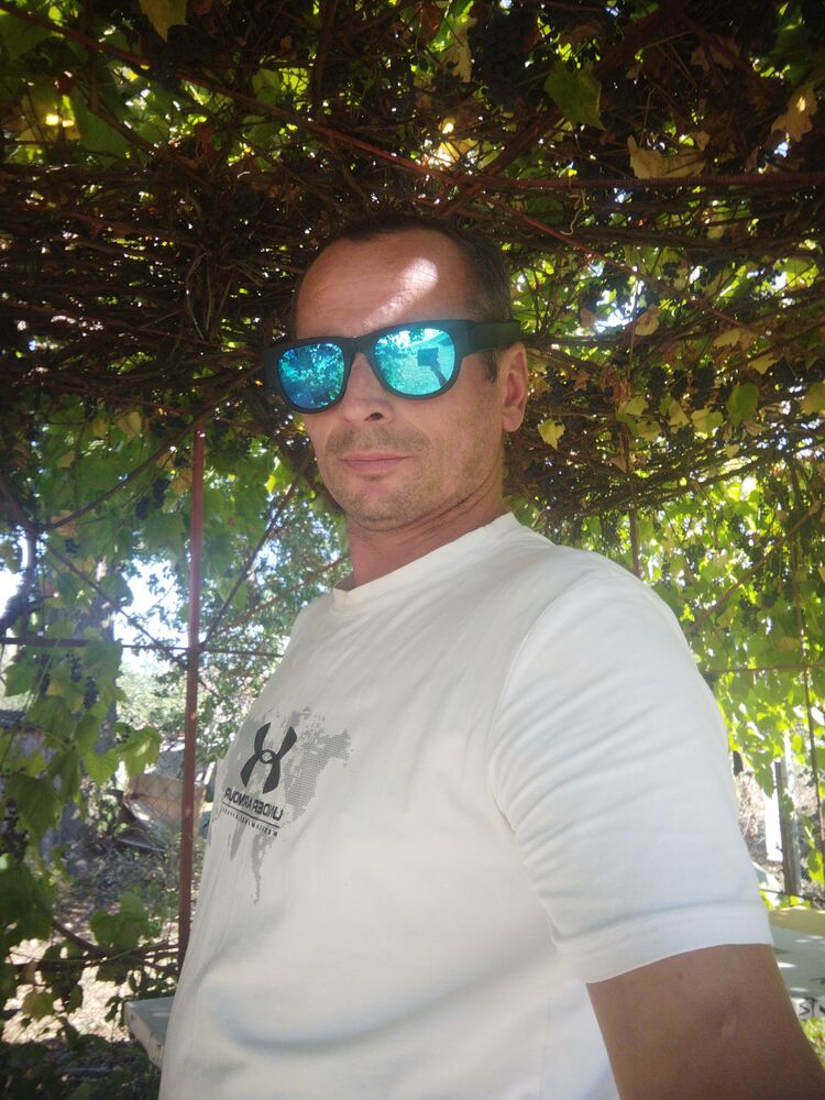  46078553  , 43 ,    